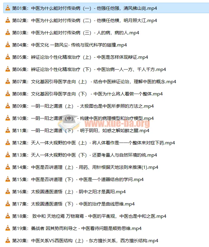 【潘毅】闻道中医—推天道以明医事课程（35集）