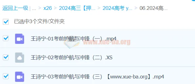 王诗宁2024高三高考英语押题冲刺班