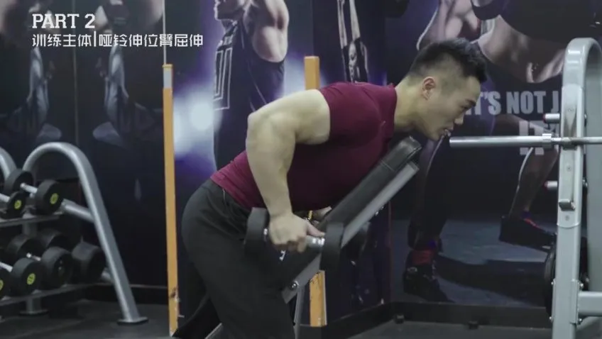 麦大湿14天倒三角身材训练计划:男性专属健身课程