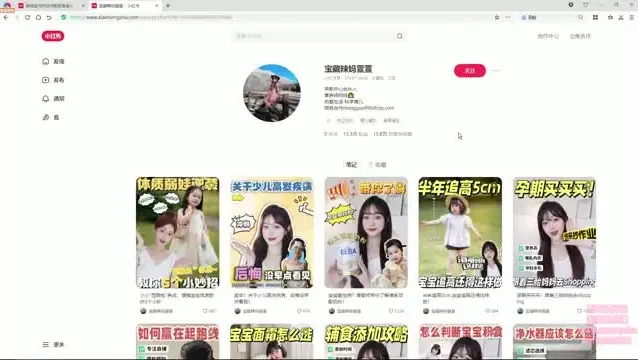 《唐诗三百首副业指南：宝妈涨粉变现秘籍》