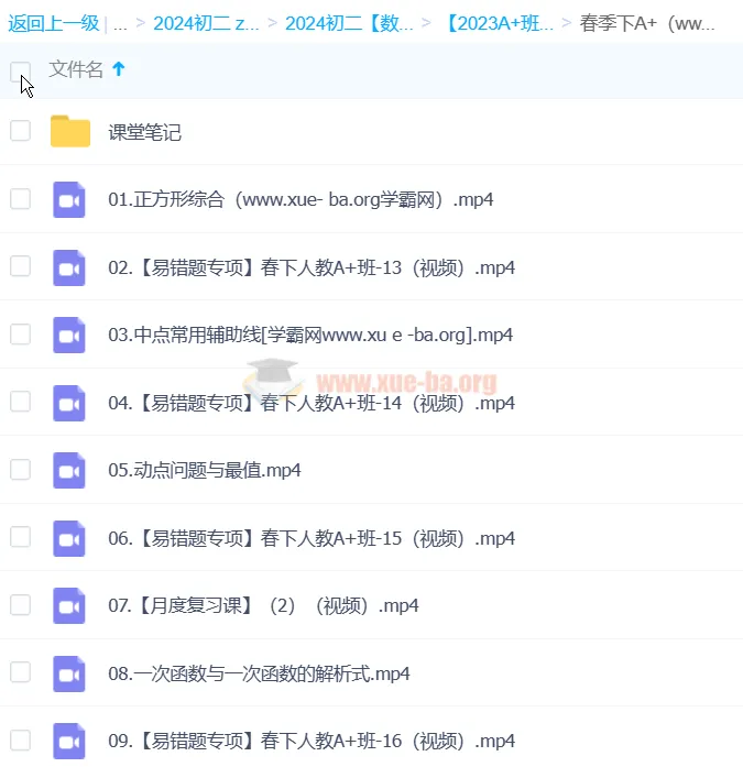 李爽初二数学2024年A+春季班(下)