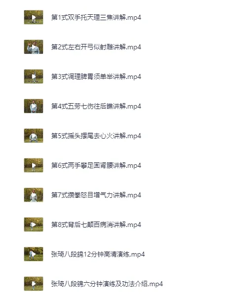 《八段锦》全网收集:详细解说最全整理视频教程