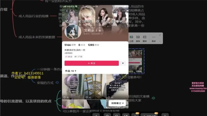 成人用品电商创业指南:新手零基础月入数万秘籍