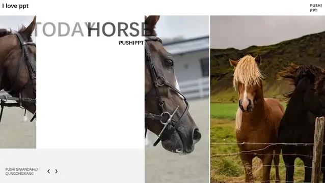 璞石PPT设计教程：从入门到精通的全面指南