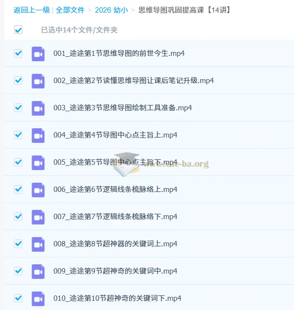 白马老师思维导图巩固提高课（14讲）