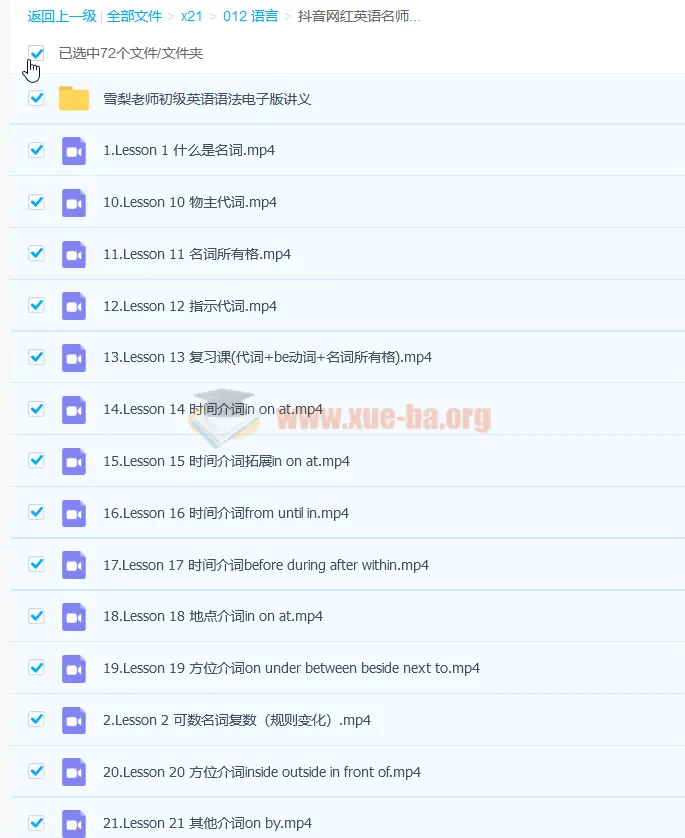 抖音网红英语名师雪梨：初级英语语法71讲课程（含讲义）