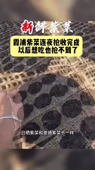 李鲆短视频带货实战指南：电商新手与内容创作者的爆单课程