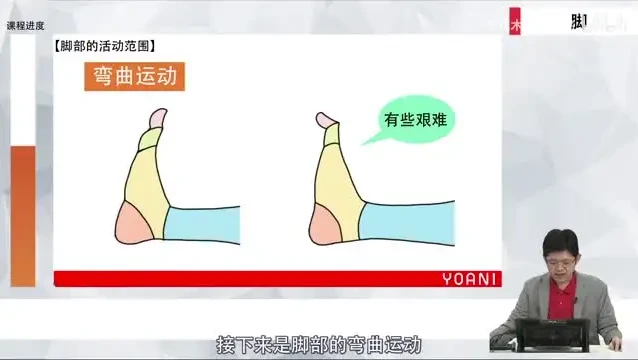 代代木动画学院:零基础角色绘画速成课程