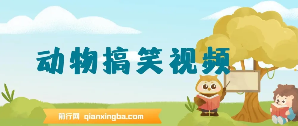 AI动物搞笑视频生成软件:轻松创作原创视频