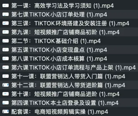 TikTok跨境电商全流程课程：从入门到实操，掌握流量变现与小店运营
