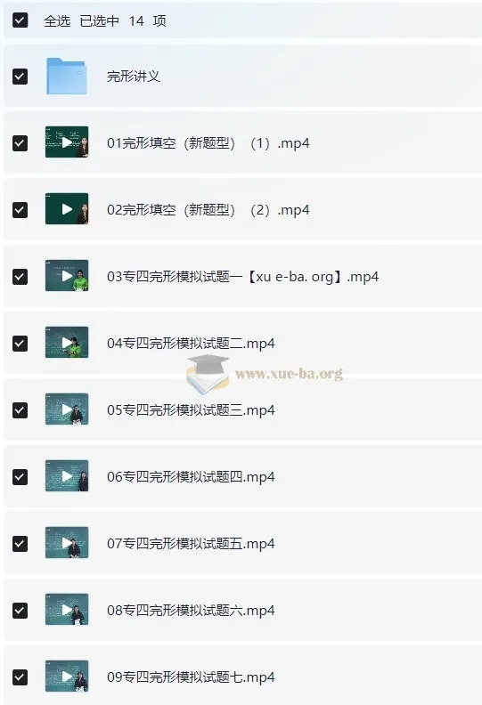 2024年周洁主讲大学英语专业四级专四完型课程