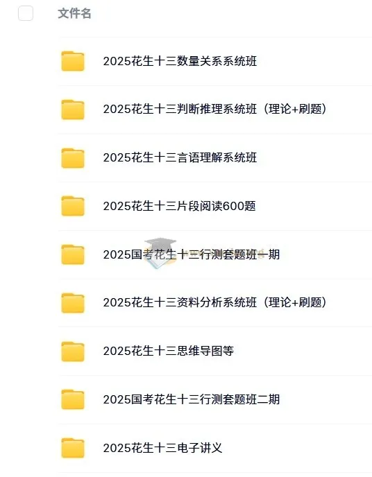 2025年国家公务员考试花生十三行测/申论系统班