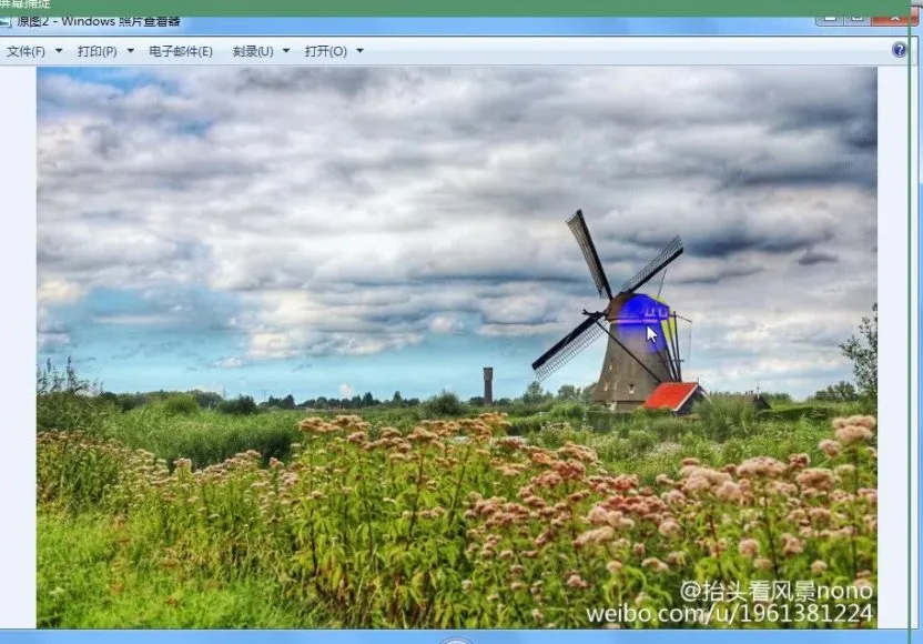 零基础水彩入门32讲：系统掌握从原理到进阶的水彩技法