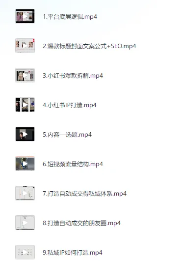 全域运营操盘:抖音、私域与小红书的IP打造课程