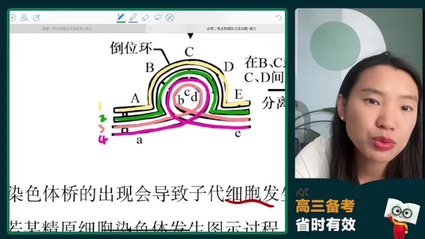 2024高三生物冲刺护航班:毛慧精讲