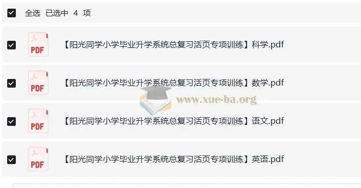 阳光同学小学毕业升学系统：小升初总复习活页专项训练