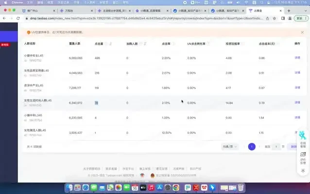 达摩盘、引力魔方与万相台投放实战：人群分析与高效组合策略课程