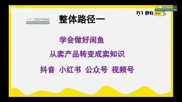 闲鱼无货源电商实战课程：零基础到月入1.5万