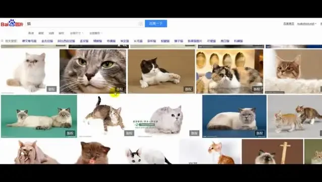 【抖音运营实战】从零到百万粉丝：抖音账号定位与视频制作全攻略