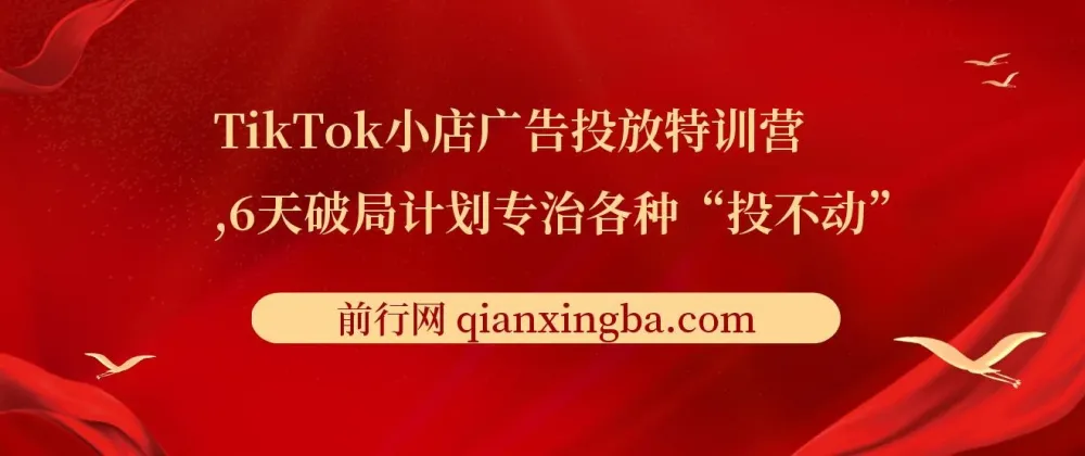 TikTok小店广告投放特训营:6天破局计划,传授月销百万实战干货