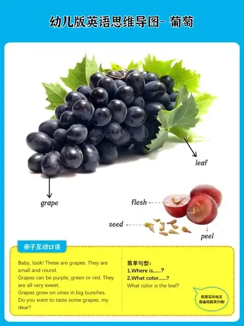 少儿英语启蒙:动物与果蔬主题思维导图资料