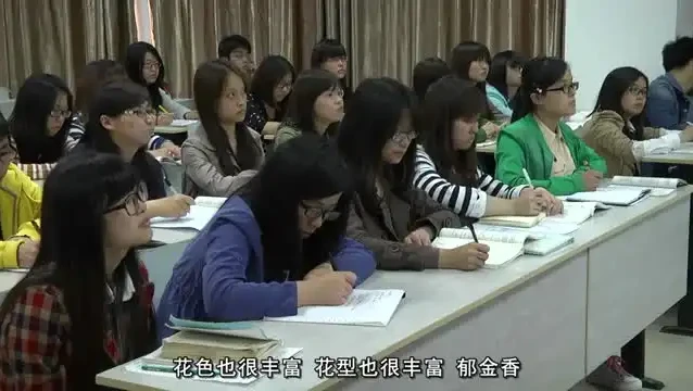 花艺插花教程:从入门到精通,全面提升花艺技能