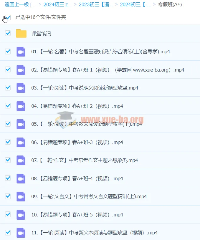 杨荷 2024 初三中考语文 A+寒假班（春上）课程