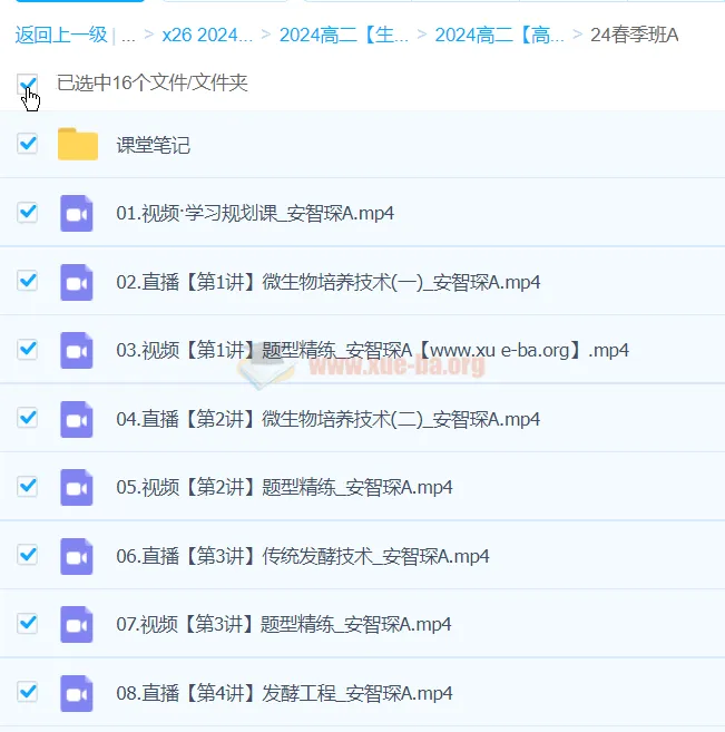 安智琛2024高中高二生物春季A班课程
