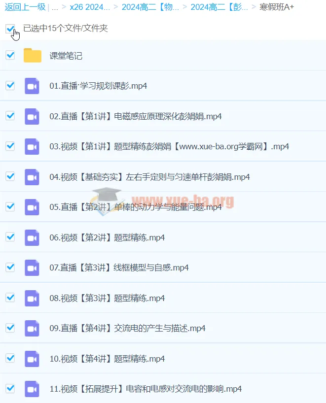 2024彭娟娟高二物理A+寒假班