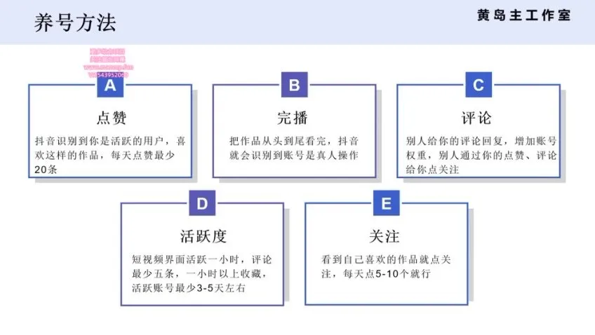 黄岛主抖音王者荣耀游戏变现副业兼职实操课程