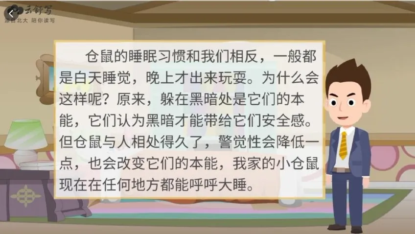 云舒写小学5-6年级写作素材课程:提升写作能力的系统课程