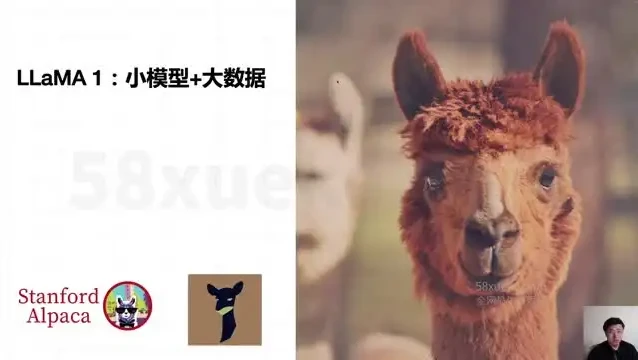 《AI大模型微调实战：8周掌握前沿技术与深度应用开发指南》