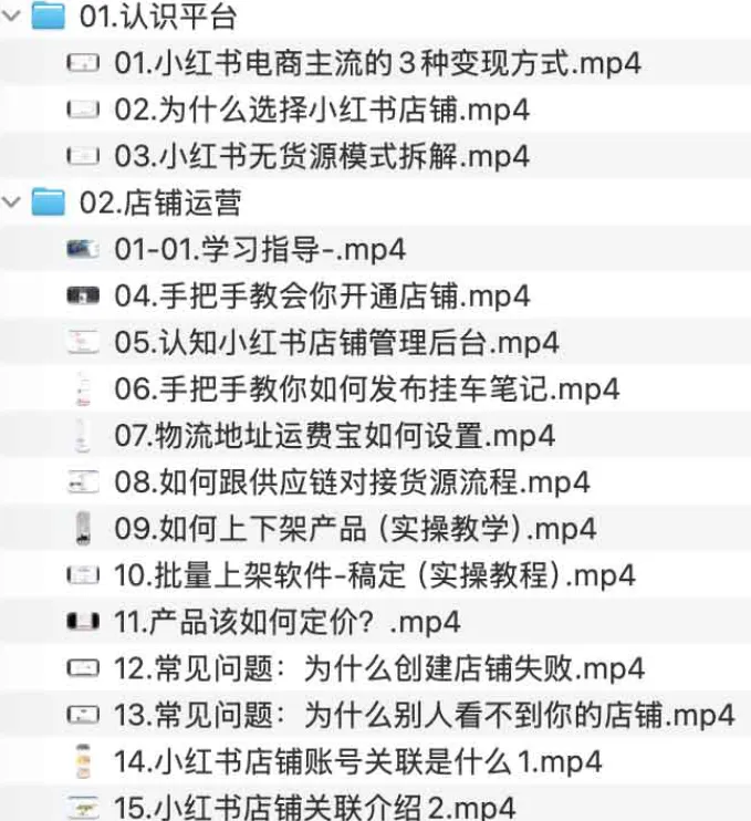 手把手教你运营小红书店铺课程