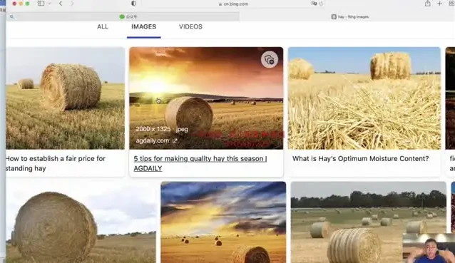 刘一男《零基础4000词英语速成》+《西游记语法精讲》英语课程