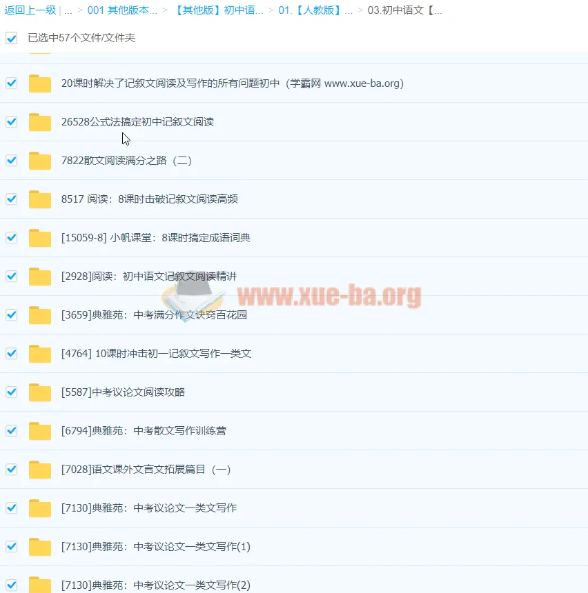 初中语文专项学习视频合集