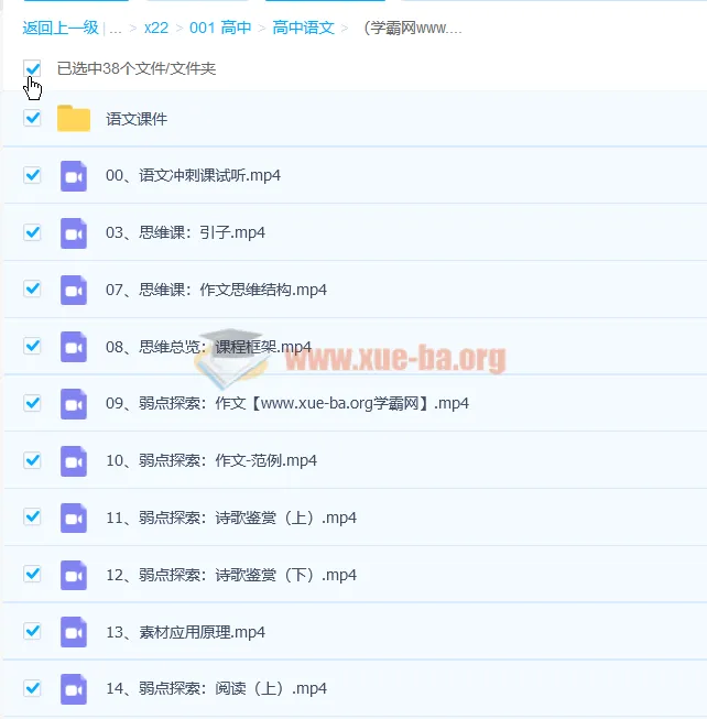 树成林平盖尔高考语文冲刺课47讲