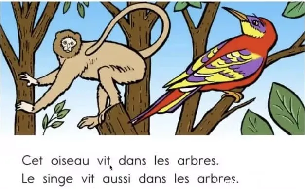 顶点教育少儿法语课：加拿大专家亲授，助力6 - 15岁青少年法语启蒙与进阶