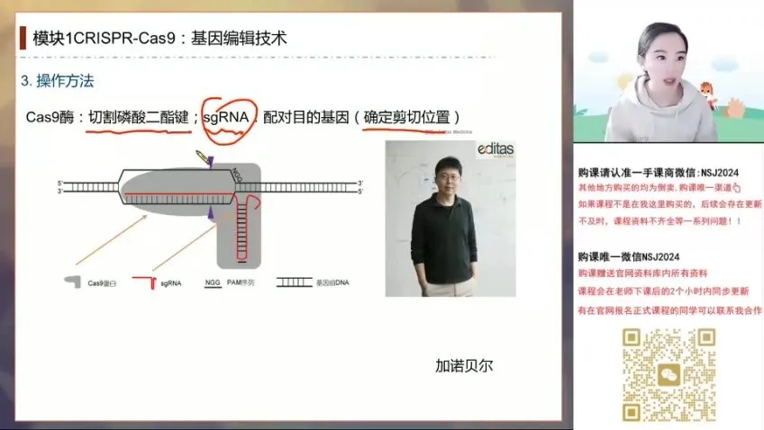 2024高考马阳洋生物二轮冲刺班：稳态与生态专题精讲