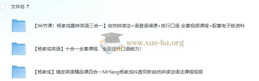 杨家成十合一英语全套课程+搞定英语精品课四合一+趣味英语三合一