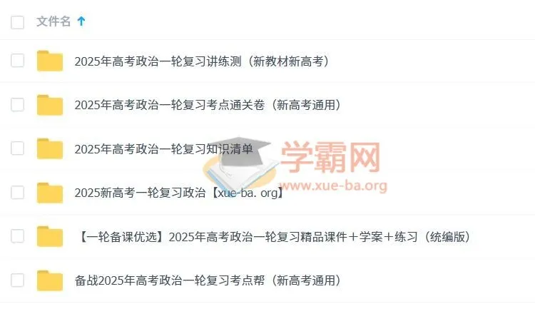 2025新高考高考政治一轮复习资料合集