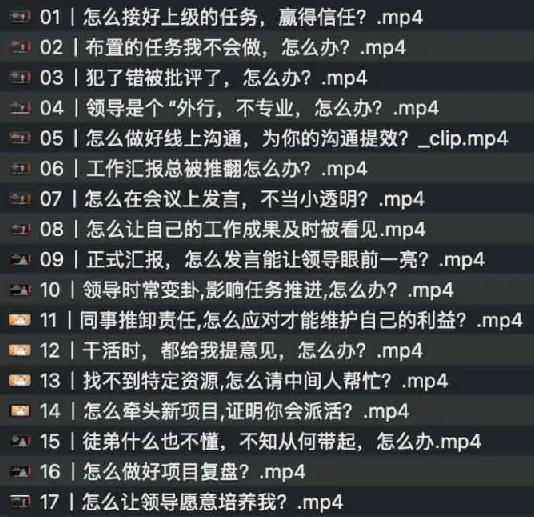 《干得漂亮:职场生存课,助力高效沟通与应对》