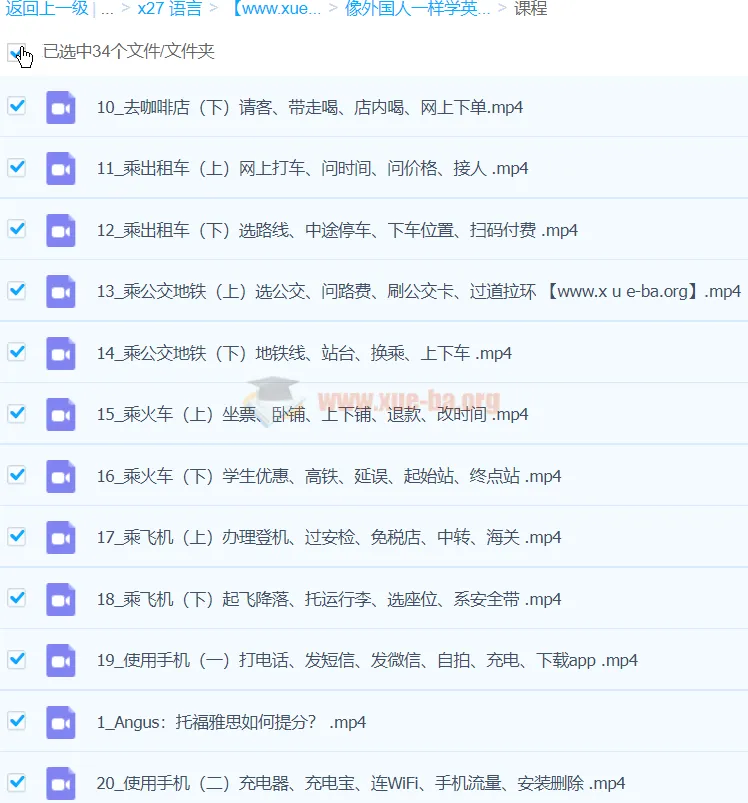 像外国人一样学英语：马正扬沉浸式英语50讲