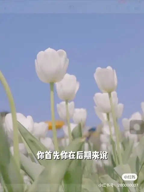 伍伍老师摄影教程：从基础到进阶全方位攻略