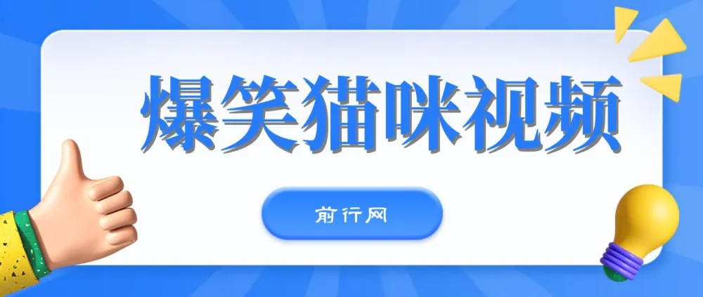 爆笑猫咪视频:视频号搞钱新策略,简单操作日入过K
