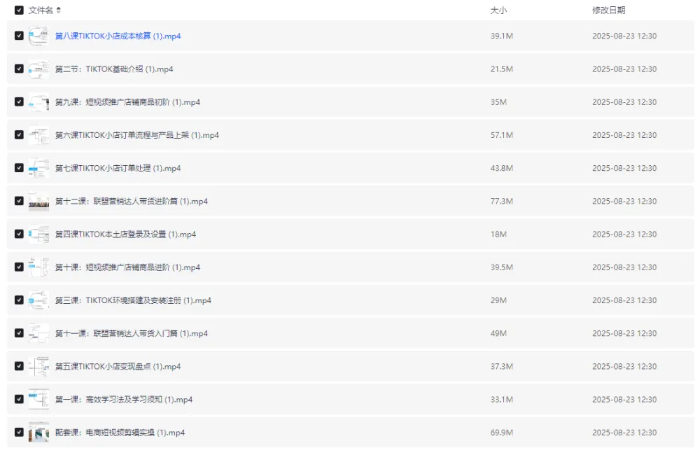 TikTok跨境电商全流程课程:从入门到实操,掌握流量变现与小店运营