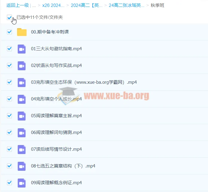 2024张冰瑶高二英语秋季班课程