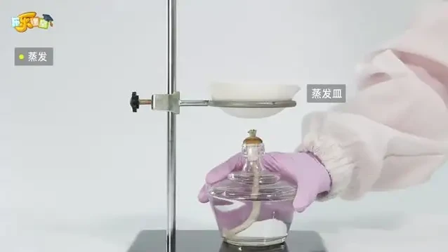 乐乐课堂全学科学习资源:涵盖小学到高中,含国学与科学实验