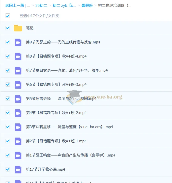 2024 - 2025 2026届初中物理:初二物理培训班(24年秋上·全国通用版·A+班) - 刘怡