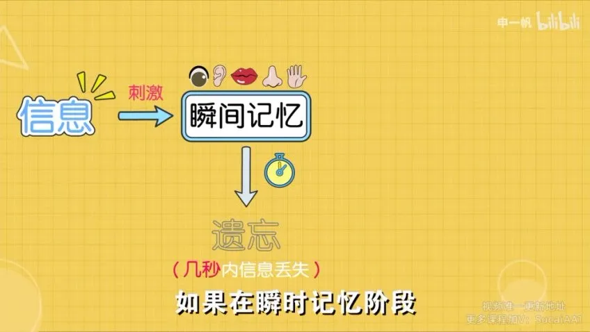 超强记忆力训练:全学科高效提分秘籍,12节精品课程告别死记硬背