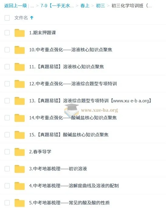 陈潭飞2025初三化学中考培训班(春上·全国版·A+)
